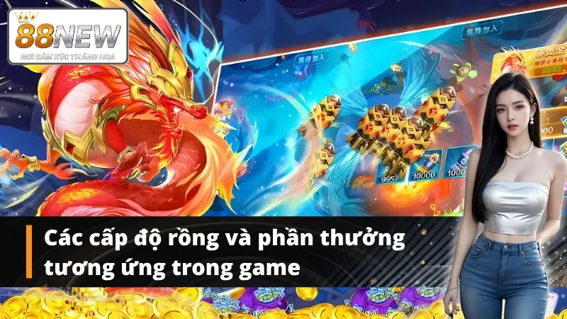 Phân chia phần thưởng của rồng từ sơ cấp đến cao cấp