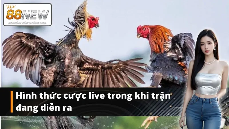Cược theo từng diễn biến trận đấu xảy ra