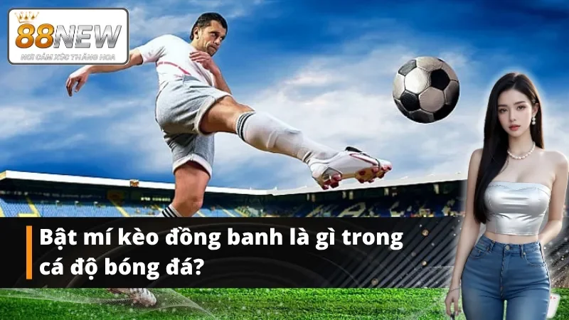 Giới thiệu về kèo cược đồng banh tại nhà cái NEW88