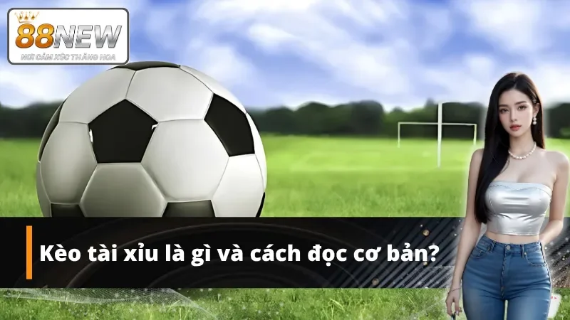 Nắm rõ nhanh về thông tin về kèo tài xỉu
