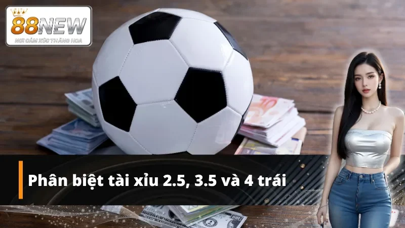 So sánh chi tiết kèo cược tài xỉu 2.5, 3.5 và 4 trái dễ hiểu