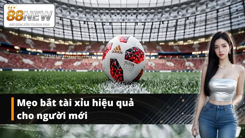 Danh sách mẹo bắt kèo tài xỉu thông minh dành cho mọi người