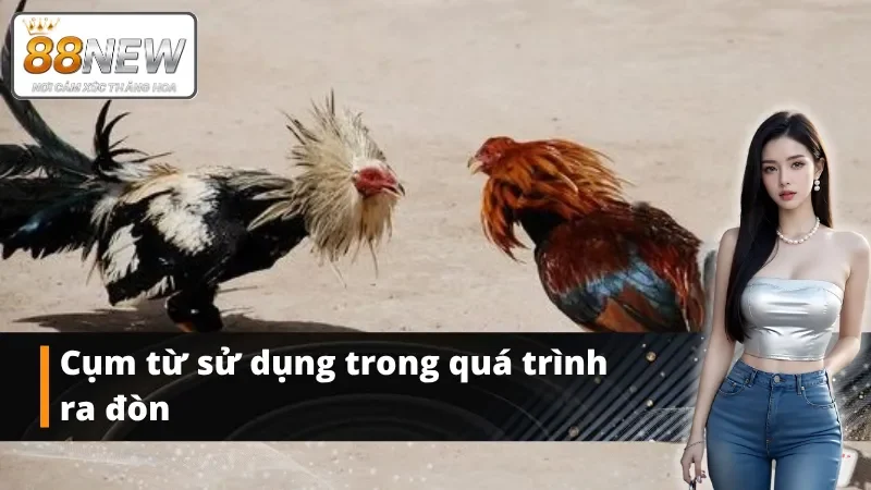 Thuật ngữ đá gà về phong cách thi đấu