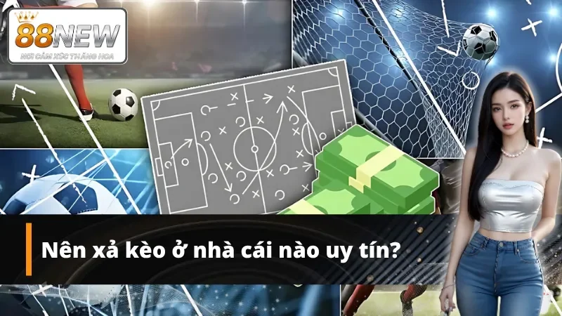 NEW88 - Điểm đến uy tín cho mọi cuộc xả kèo
